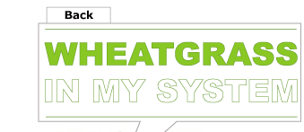 Wheatgrass in My System - Hoodie